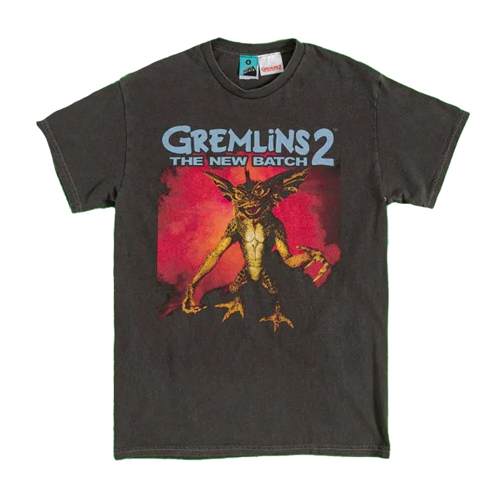 Black-Charcoal - Front - Gremlins 2 Unisex Adult Stripe Vintage Washed T-Shirt