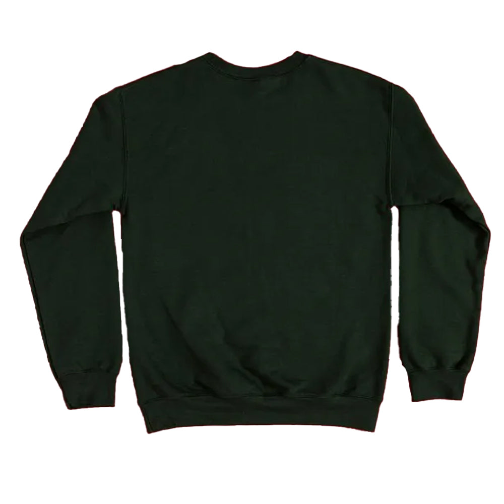 Green - Back - Peanuts Unisex Adult Charlie Brown Christmas Sweatshirt