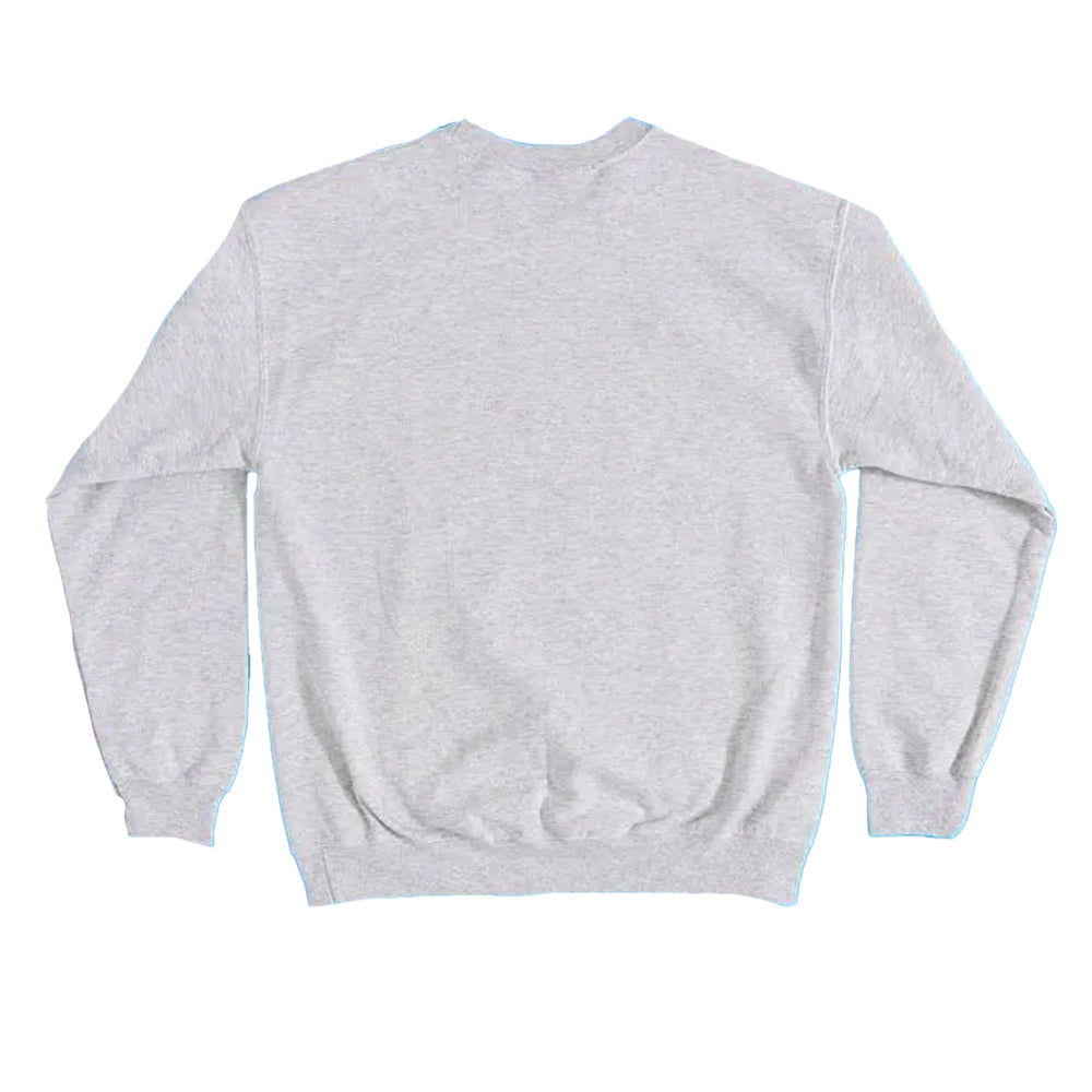 Grey - Back - Peanuts Unisex Adult It´s Flashbeagle Snoopy Sweatshirt