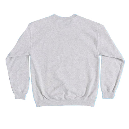 Grey - Back - Peanuts Unisex Adult It´s Flashbeagle Snoopy Sweatshirt
