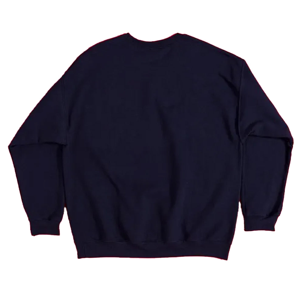 Blue - Back - Stranger Things Unisex Adult WSQK Logo Sweater Top