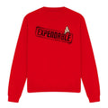 Red - Front - Star Trek Unisex Adult Expendable Sweatshirt
