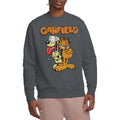 Charcoal - Side - Garfield Unisex Adult The Game Sweatshirt