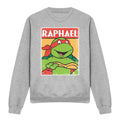 Sport Heather - Front - Teenage Mutant Ninja Turtles Unisex Adult Raphael Sweatshirt