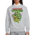 Sport Heather - Lifestyle - Teenage Mutant Ninja Turtles Unisex Adult Group Sweatshirt