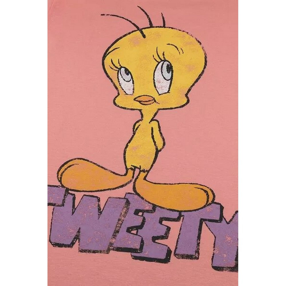 Pink-Blue - Back - Looney Tunes Womens-Ladies Tweety Vintage Long Pyjama Set