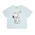 Mint-Grey - Side - Peanuts Womens-Ladies Snoopy & Woodstock Pyjama Set