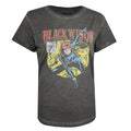Charcoal - Front - Black Widow Womens-Ladies Vintage T-Shirt