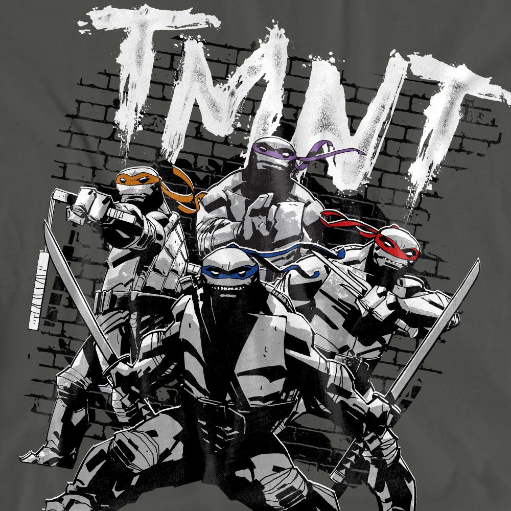 Charcoal - Pack Shot - Teenage Mutant Ninja Turtles Unisex Adult TMNT Team T-Shirt