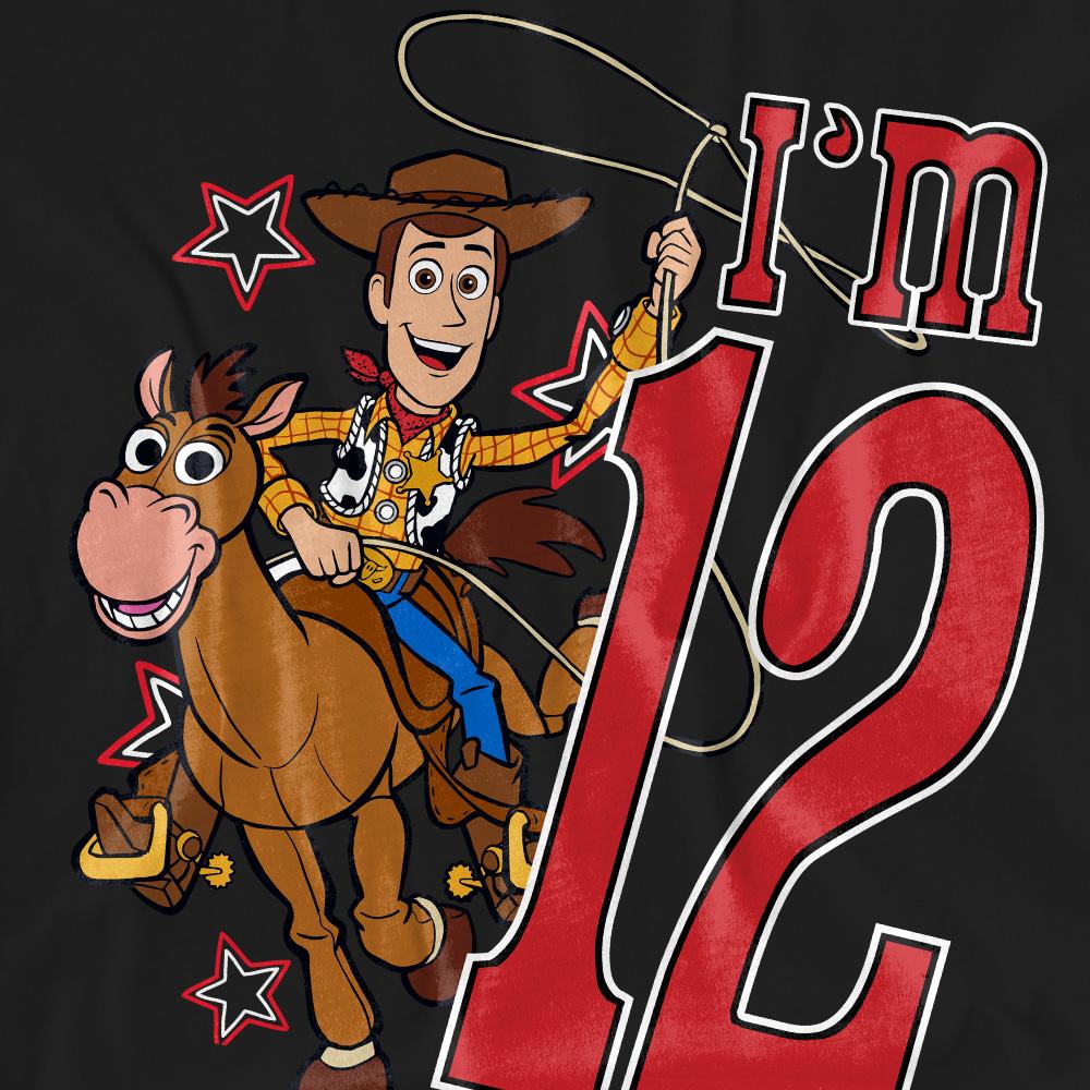Black - Pack Shot - Toy Story Unisex Adult I´m 12 Woody Birthday T-Shirt