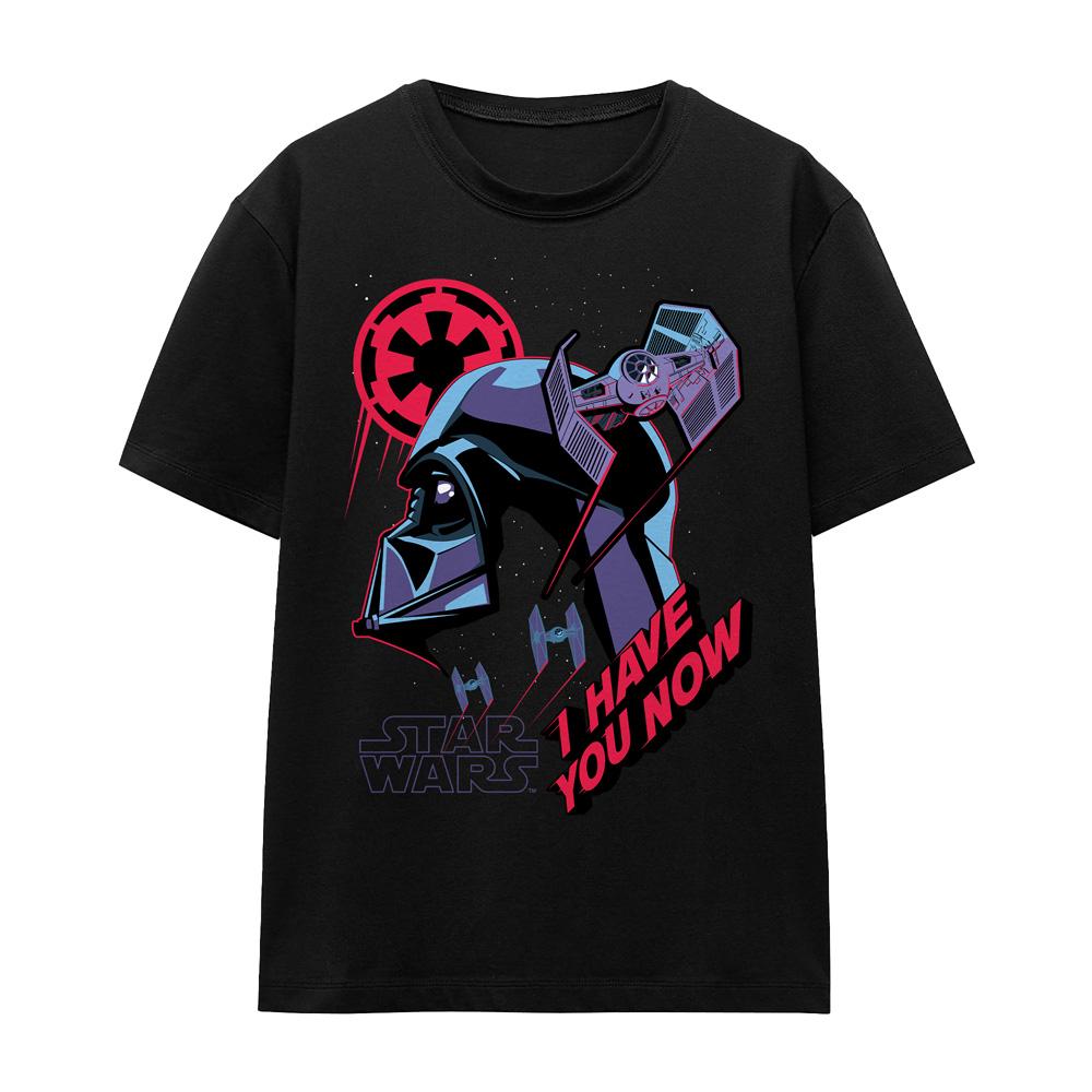 Black - Front - Star Wars Unisex Adult I Have You Now T-Shirt
