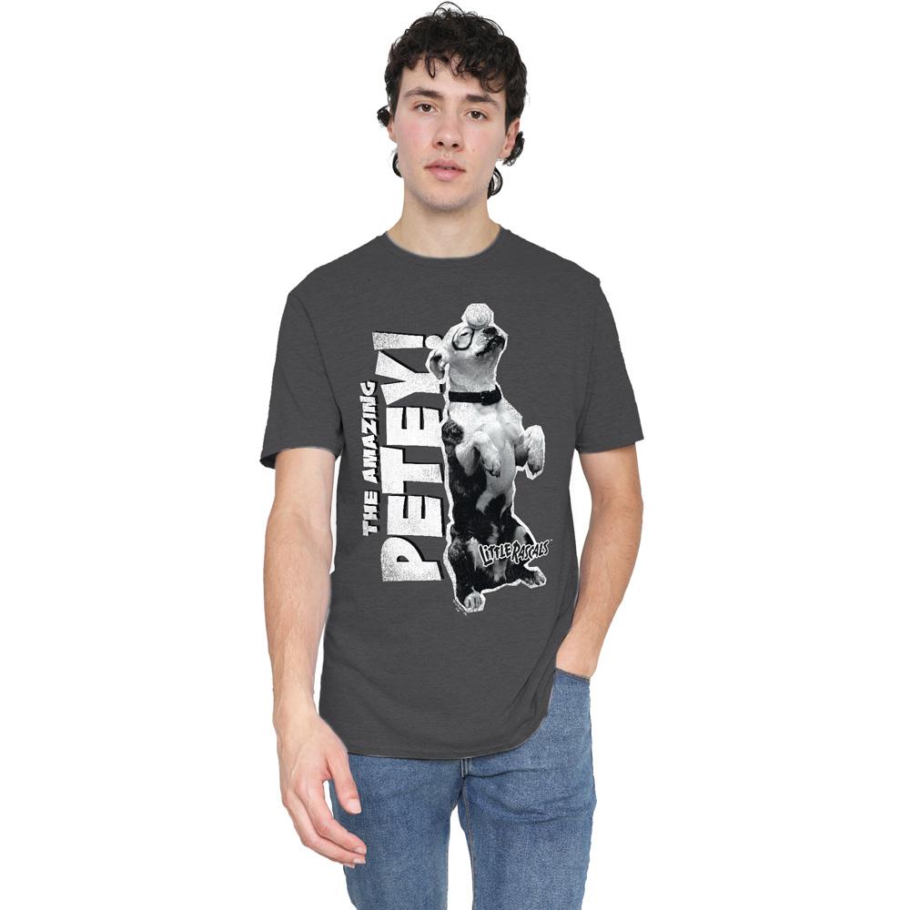 Charcoal - Lifestyle - The Little Rascals Unisex Adult Amazing Petey T-Shirt