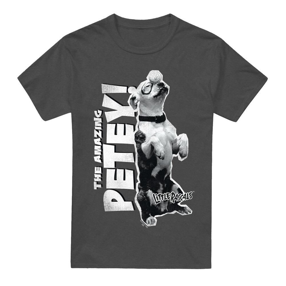 Charcoal - Front - The Little Rascals Unisex Adult Amazing Petey T-Shirt