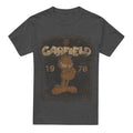 Charcoal - Front - Garfield Unisex Adult Est 1978 T-Shirt