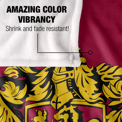 Multicoloured - Lifestyle - Harry Potter Gryffindor Crest Blanket