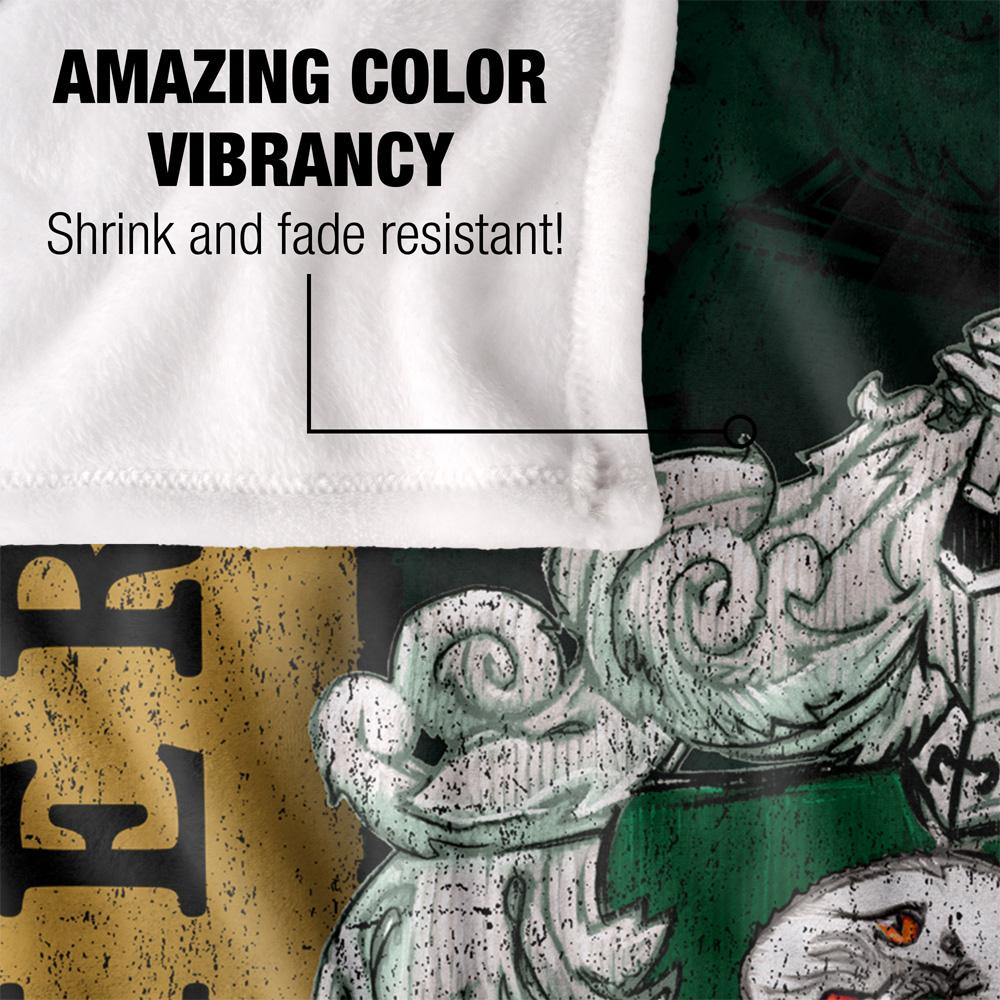 Multicoloured - Lifestyle - Harry Potter Slytherin Crest Blanket