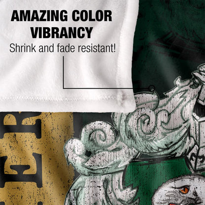Multicoloured - Lifestyle - Harry Potter Slytherin Crest Blanket