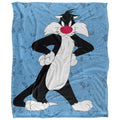 Multicoloured - Front - Looney Tunes Character Collage Sylvester Blanket