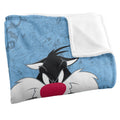 Multicoloured - Back - Looney Tunes Character Collage Sylvester Blanket