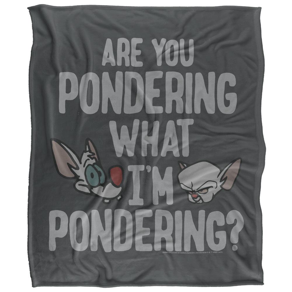 Multicoloured - Front - Pinky and The Brain Pondering Blanket
