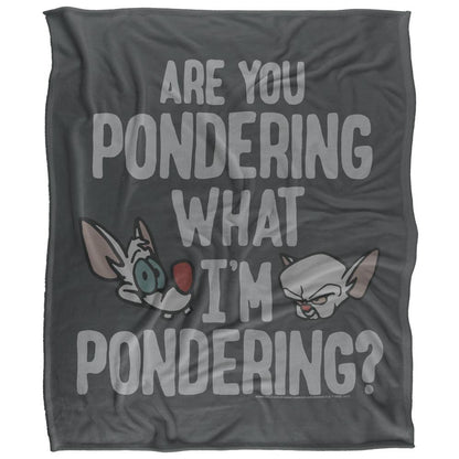 Multicoloured - Front - Pinky and The Brain Pondering Blanket