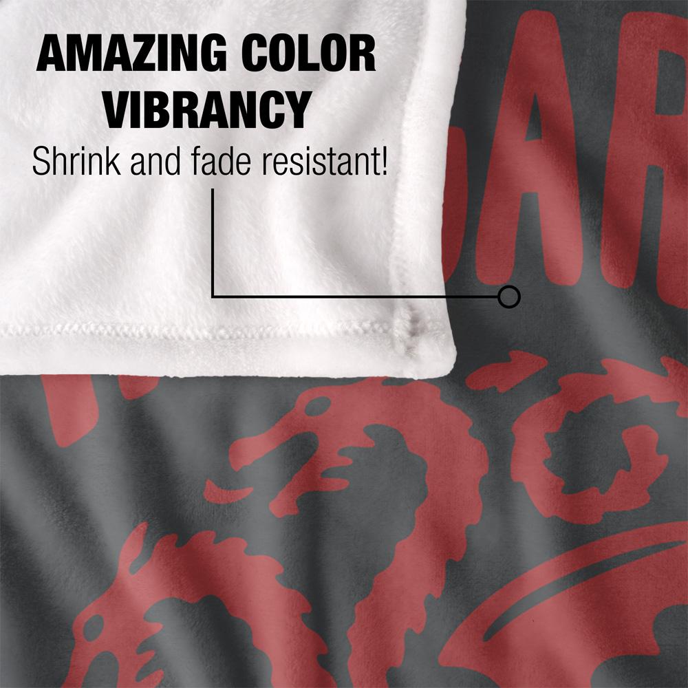 Multicoloured - Lifestyle - Game Of Thrones Targaryen Crest Blanket