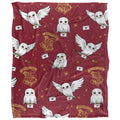 Multicoloured - Front - Harry Potter Letter Hedwig Blanket