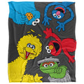 Multicoloured - Front - Sesame Street Group Pose Blanket