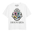 White - Front - Harry Potter Girls Hogwarts Houses T-Shirt
