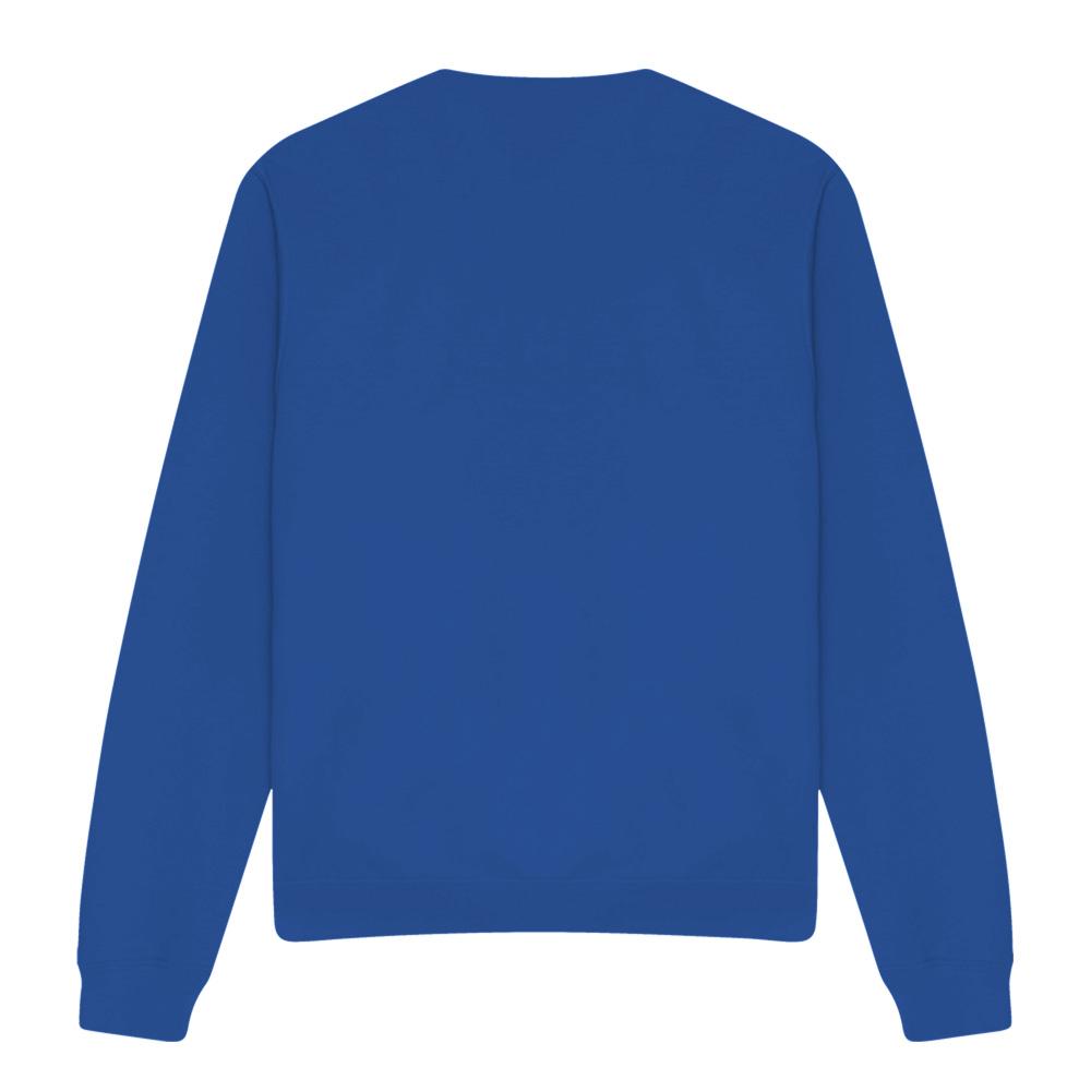 Royal Blue - Pack Shot - K-Pop Demon Hunters Unisex Adult Cute Derpy Tiger Sweatshirt