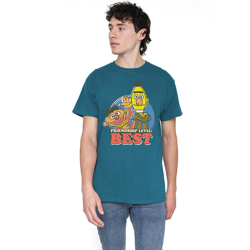 Slate - Back - Sesame Street Unisex Adult Friendship Level: Best Bert & Ernie T-Shirt