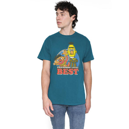 Slate - Back - Sesame Street Unisex Adult Friendship Level: Best Bert & Ernie T-Shirt