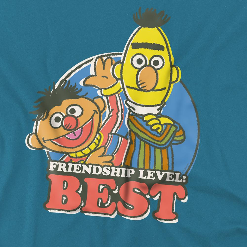 Slate - Side - Sesame Street Unisex Adult Friendship Level: Best Bert & Ernie T-Shirt