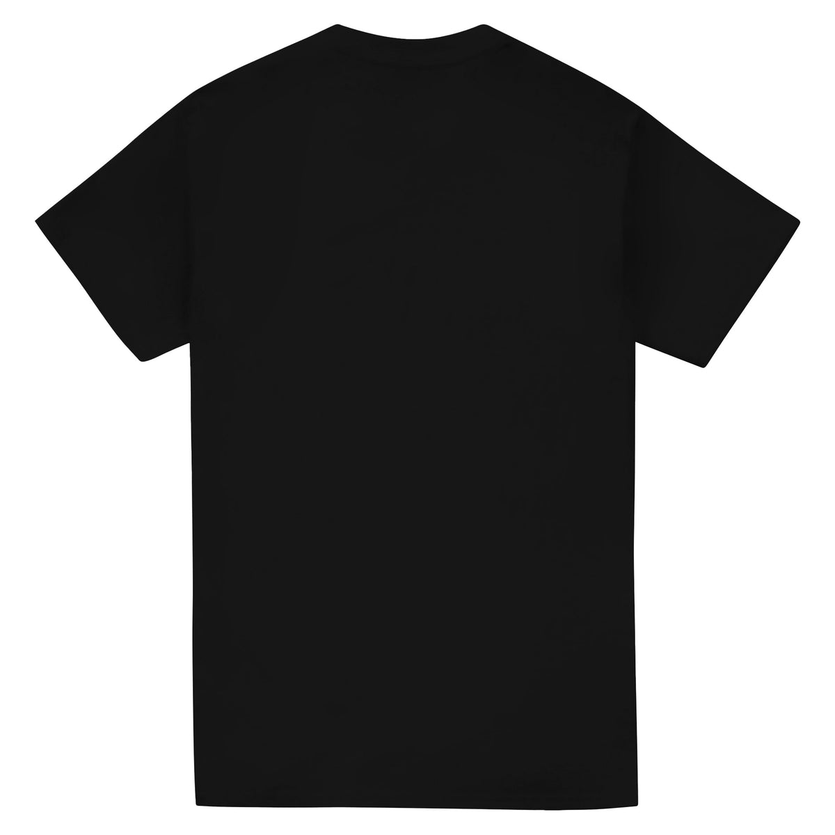 Black - Back - Fast & Furious Mens Flames T-Shirt