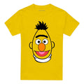 Yellow - Front - Sesame Street Unisex Adult Bert Full Face T-Shirt