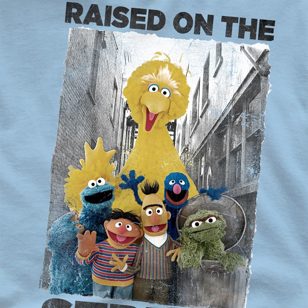 Light Blue - Pack Shot - Sesame Street Unisex Adult Raised On The Streets Distressed T-Shirt