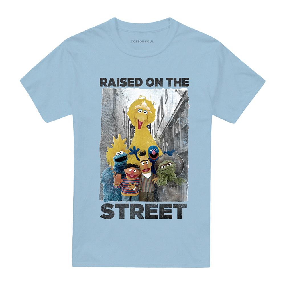 Light Blue - Front - Sesame Street Unisex Adult Raised On The Streets Distressed T-Shirt