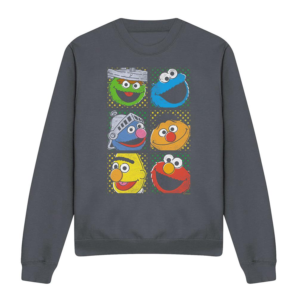 Charcoal - Front - Sesame Street Unisex Adult Characters Sweatshirt