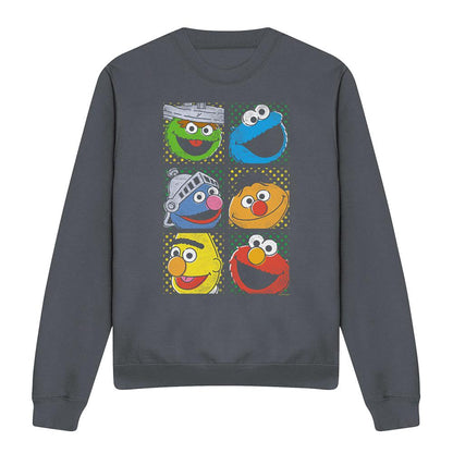 Charcoal - Front - Sesame Street Unisex Adult Characters Sweatshirt