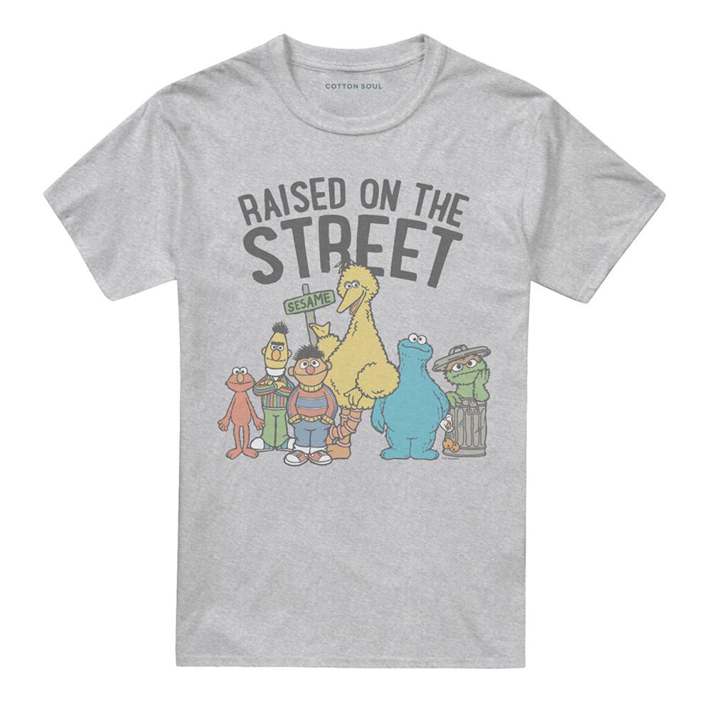 Athletic Heather - Front - Sesame Street Unisex Adult The In My Hood T-Shirt