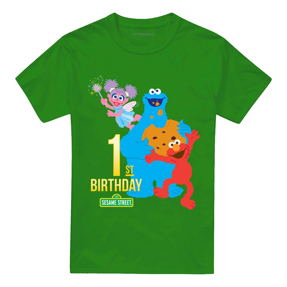 Kelly Green - Front - Sesame Street Unisex Adult 1st Birthday T-Shirt