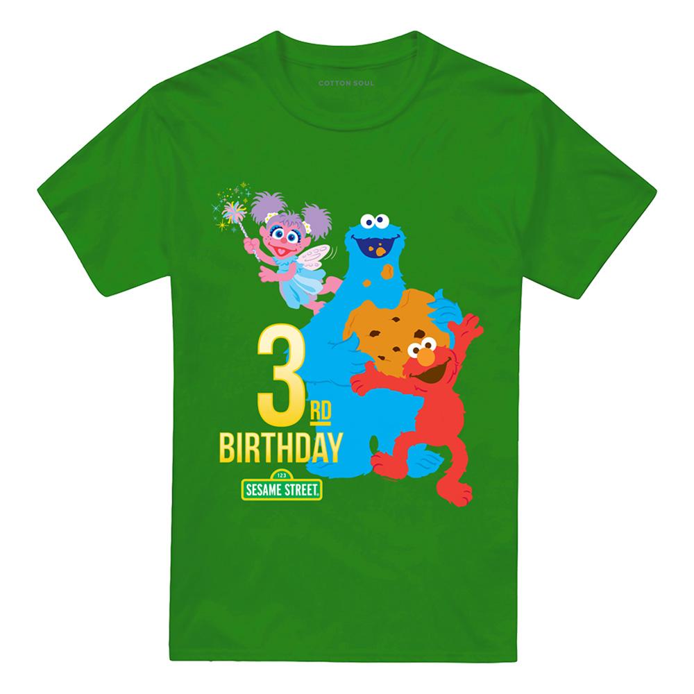 Kelly Green - Front - Sesame Street Unisex Adult 3rd Birthday T-Shirt