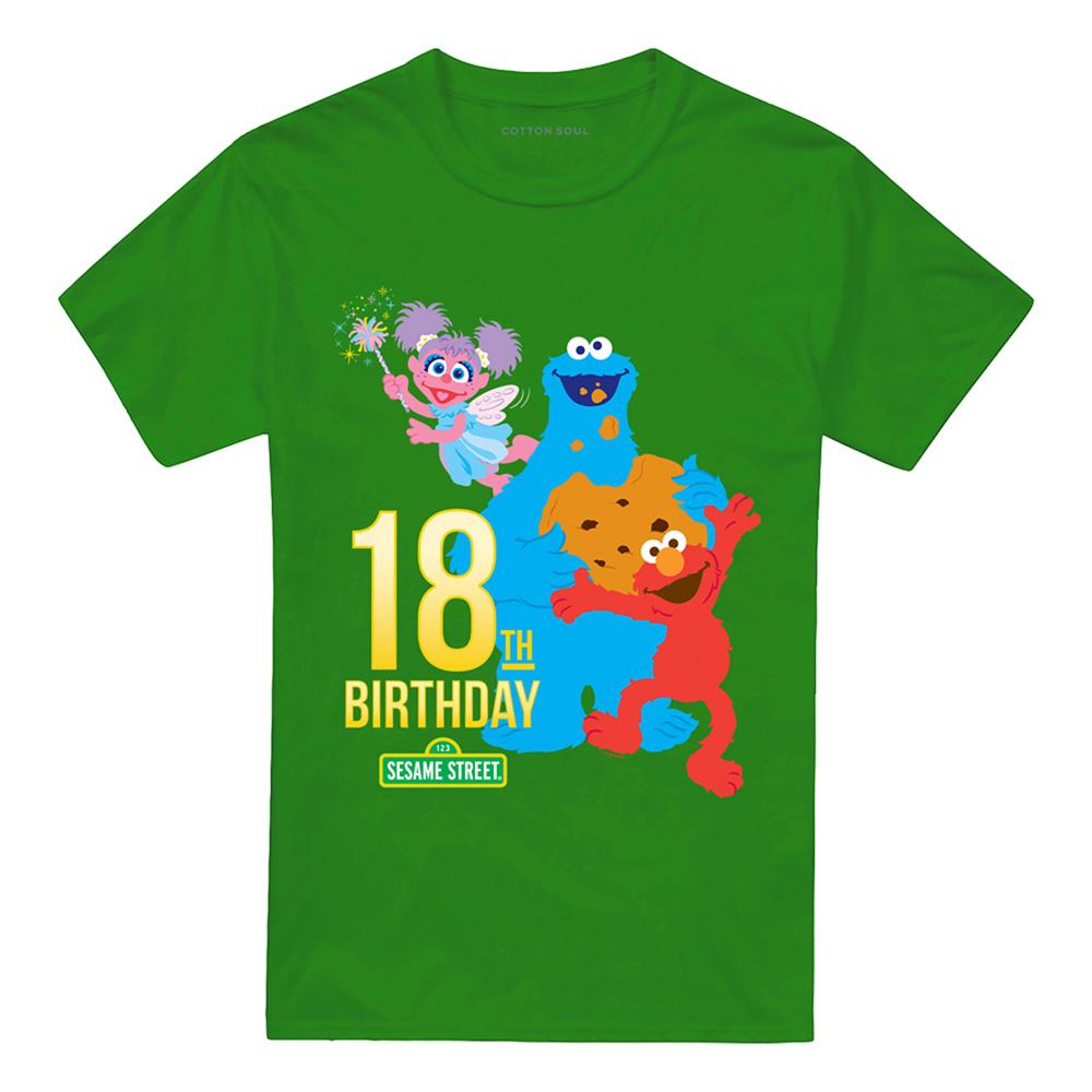 Kelly Green - Front - Sesame Street Unisex Adult 18th T-Shirt