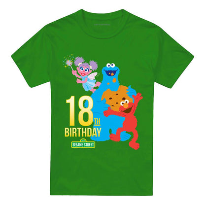 Kelly Green - Front - Sesame Street Unisex Adult 18th T-Shirt