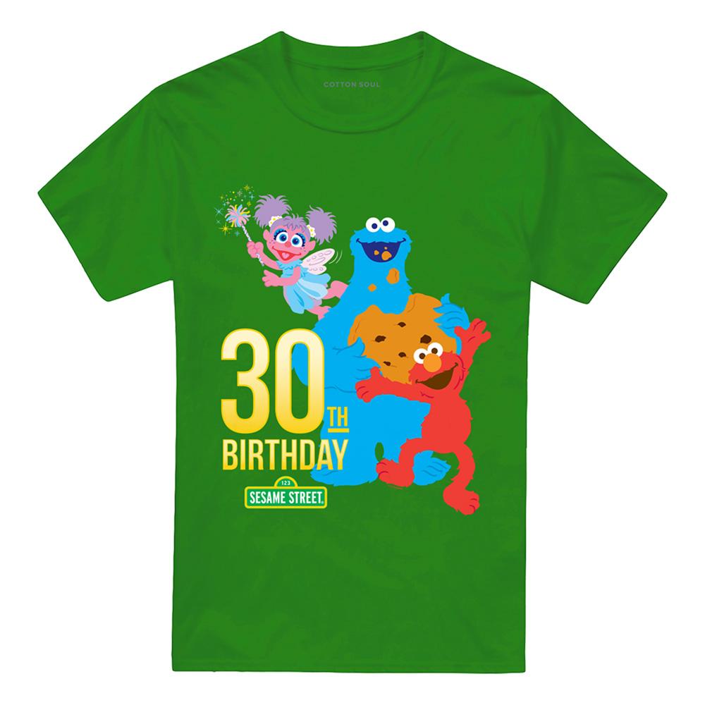 Kelly Green - Front - Sesame Street Unisex Adult T-Shirt