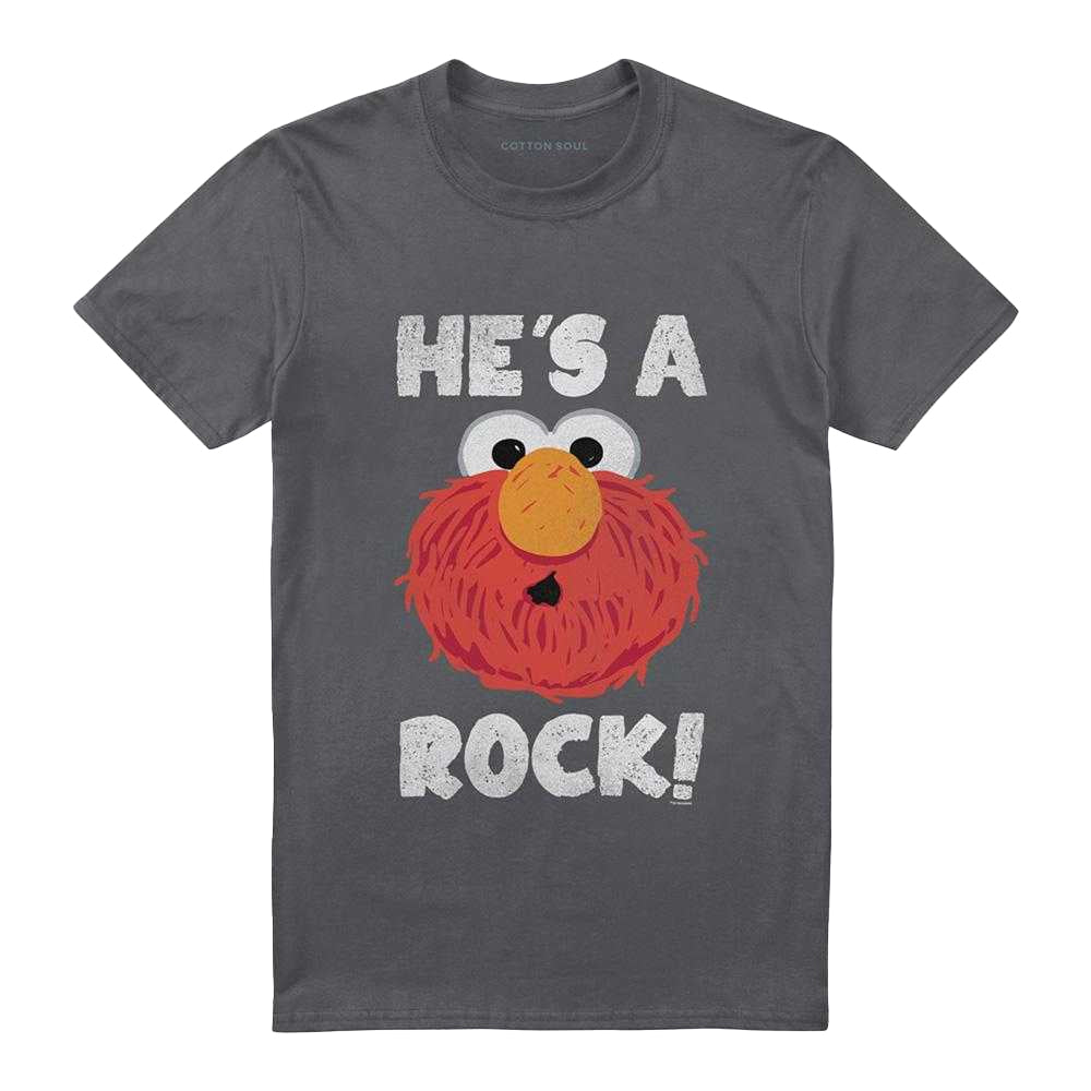 Charcoal - Front - Sesame Street Unisex Adult He's A Rock T-Shirt