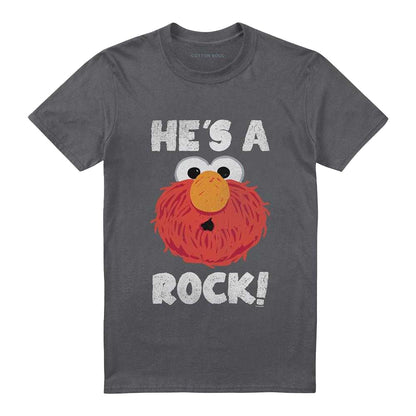 Charcoal - Front - Sesame Street Unisex Adult He's A Rock T-Shirt