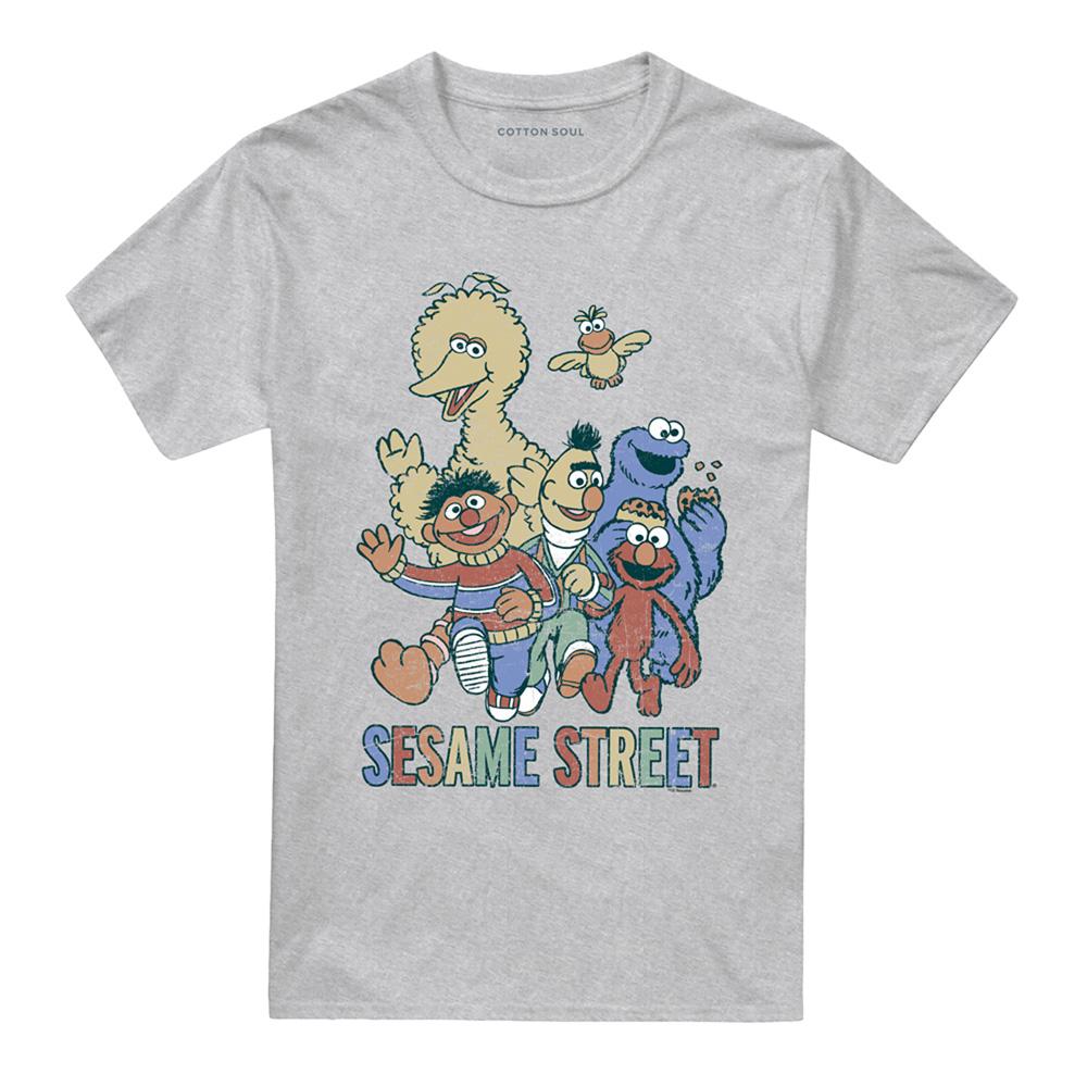 Athletic Heather - Front - Sesame Street Unisex Adult Group Heather T-Shirt