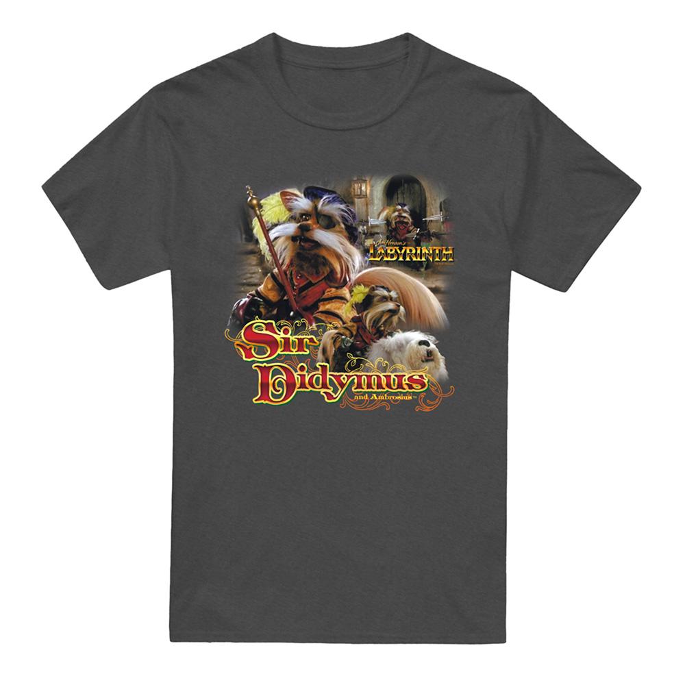 Charcoal - Front - Labyrinth Unisex Adult Sir Didymus Heather T-Shirt