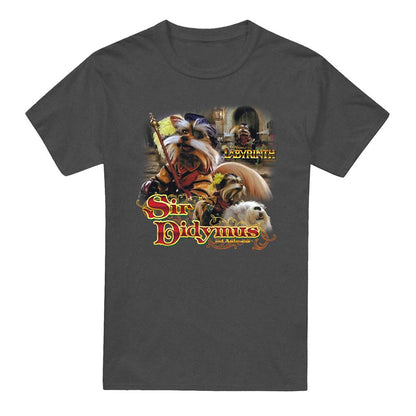 Charcoal - Front - Labyrinth Unisex Adult Sir Didymus Heather T-Shirt